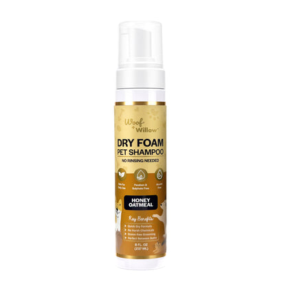 Dry Foam Shampoo